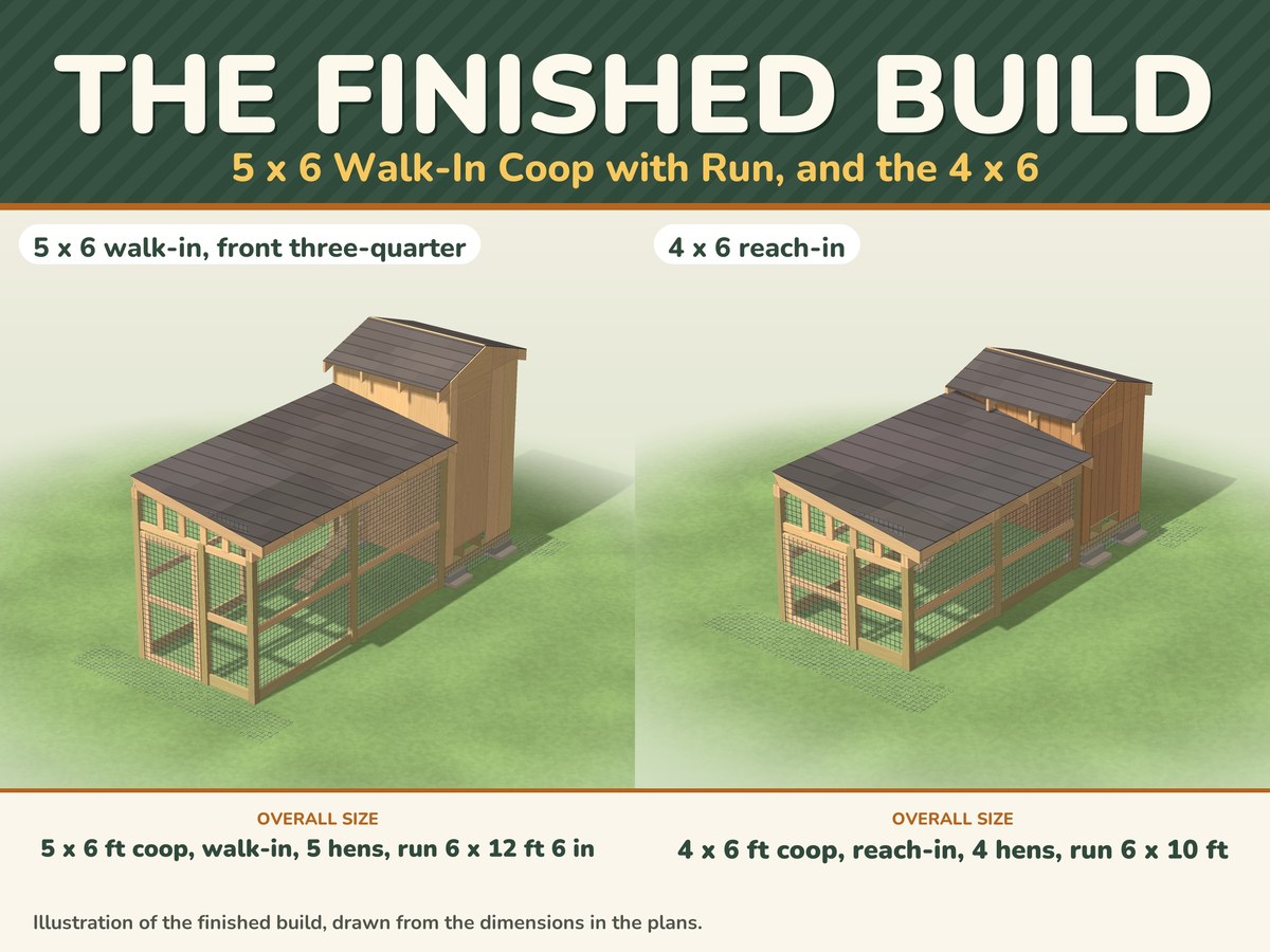 Chicken Coop Plans PDF with Run: 5x6, 4x6, 6x8 and 8x10, image 3